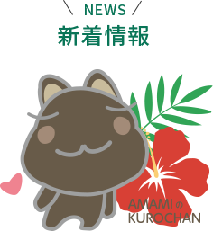 新着情報